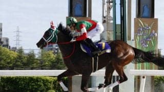 【兵庫ゴールドトロフィー】枠順と見所 ラプタスは8枠12番