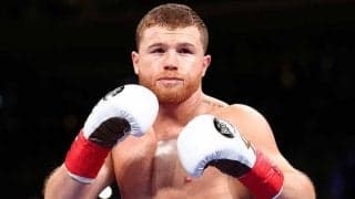 カネロの高等技術　フェイク→アッパーの痺れるコンビネーションに米感嘆「凄すぎる」