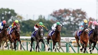 【有馬記念予想】 今秋のGIでの勝率は昨年の「2倍」！ 1番人気を信じることこそが勝利への近道!?/JRAレース展望