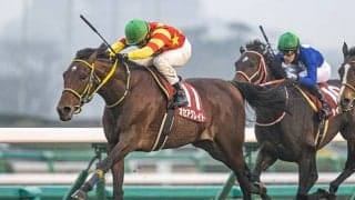 【有馬記念予想】 データが教える“とっておきの穴馬”！ トリッキーな中山コースとの相性から浮上してきたのは？/データ分析