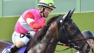 【JRA】ラブカンプー引退、繁殖入り　今年のCBC賞覇者、2018年スプリンターズS2着