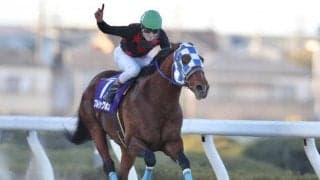 【浦和・ゴールドC結果】ブルドッグボスが有終の美を飾る