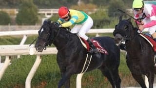 【園田・兵庫ゴールドT結果】サクセスエナジーが得意の1400mで重賞5勝目！