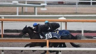クロノジェネシス、有馬記念最終追い切り速報/栗東トレセンニュース
