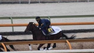 ダノンザキッド、ホープフルS最終追い切り速報/栗東トレセンニュース