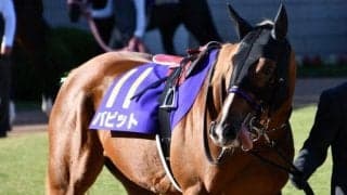 【有馬記念展望】一年のフィナーレを飾るグランプリ、あの穴馬に注目