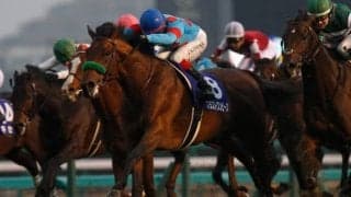 【有馬記念 調教後馬体重】ブラストワンピースは557kg、クロノジェネシスは478kg