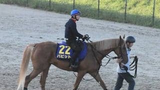 【有馬記念予想】 前走で凡走した3歳馬こそ狙い目!? データから見えてきた“グランプリで巻き返す3歳馬の条件”とは？/データ分析