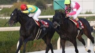 【兵庫GT回顧】コース適性と好騎乗で接戦を制したサクセスエナジー(斎藤修)