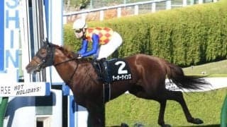 【東京大賞典】ヨシオ回避