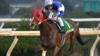 【YJSファイナル園田第3戦】美浦・小林脩斗騎手が1番人気クリノガオガオでV！