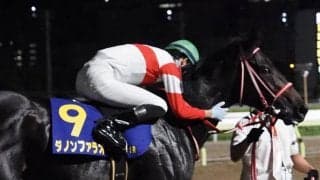 【東京大賞典】JRA出走予定馬