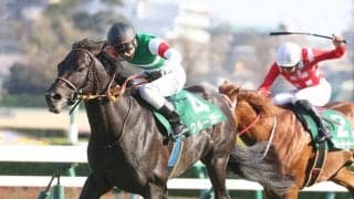 クルーガーが競走馬登録抹消