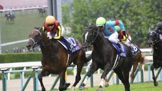 【有馬記念予想】 グランプリ制覇に大切なのは“マイル適性”!? マイルの勝ち鞍の有無で、今年の勝ち馬が見えてくる!?/JRAレース展望