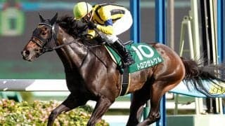 【JRA】京成杯AH連覇のトロワゼトワルが引退、繁殖入り
