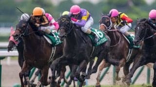 ダイメイプリンセスが競走馬登録抹消
