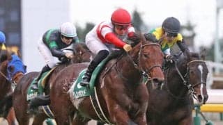 【ホープフルS】枠順と見所 ダノンザキッドは6枠10番