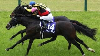 【有馬記念】枠順と見所 フィエールマンは7枠13番