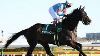 プリモシーンの妹リバースレーは「操縦性が高い」とスタッフが高評価