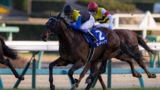 【ホープフルS】武豊「 スタートが上手くいかなかった」レース後ジョッキーコメント