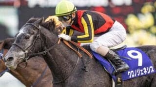 【JRA・WIN5】2020年最後のWIN5は的中114票、配当843万8440円