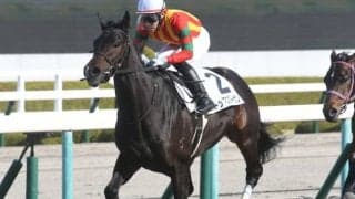 【阪神6R新馬戦結果】外国産馬トップスターサンが抜け出しV