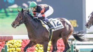 【中山5R新馬戦結果】4番人気のホウオウサンデーが快勝