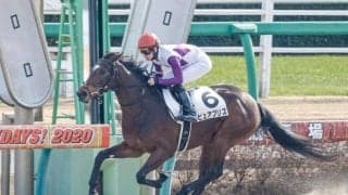 【中山4R新馬戦結果】ピュアブリスが人気に応えて逃げ切りV