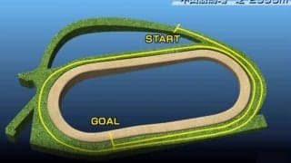 【有馬記念 コース解説】タフさ、スタミナ、器用さが問われる希少なコース