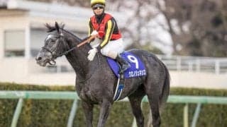 【有馬記念】売上は464億2589万4400円で昨年から減少
