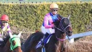 【中山大障害】メイショウダッサイが断然の人気に応える