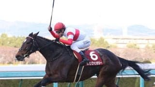 【阪神C】ダノンファンタジーがV！インディチャンプは敗れる