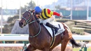 【新馬/中山5R】2番人気のジャズエチュードがデビューV