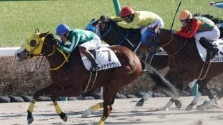 【新馬/中山6R】メテオダヴリルがデビューV！力強く差し切る