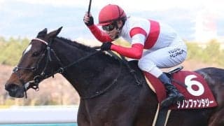 【阪神C】藤岡佑「かなり手応えあった」ダノンファンタジーが重賞5勝目