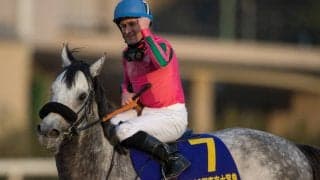 【東京大賞典】デムーロ「良いお年を！」オメガパフュームが史上初の3連覇達成