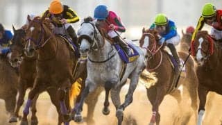 【東京大賞典】地方競馬1レースの売上レコードを更新！