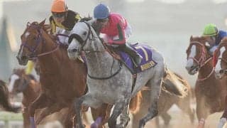 【東京大賞典】オメガパフューム鞍上M.デムーロ騎手「最後200mで差し切ろうと思っていたのでとても気持ち良かった」