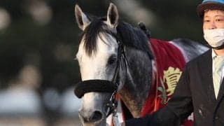 【東京大賞典】60億円超、地方競馬1レースの売上レコードを6年連続で更新！