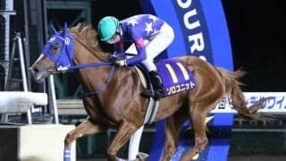 【大井・東京2歳優駿牝馬】北海道のソロユニットが6連勝を狙う/レースの見どころ(地方競馬)
