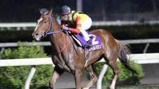 【高知県知事賞】高知のグランプリ　昨年覇者スペルマロンは5枠5番