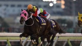 【大井・東京大賞典予想】血統も育む人の方向性もJRAとはまったく異なる大一番！ 亀谷敬正が血統面からジャッジした狙い目とは!?/地方競馬レース展望