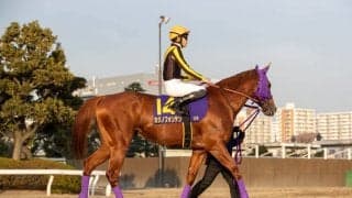 【東京大賞典】張田「俺の根性が足りなかった」レース後ジョッキーコメント