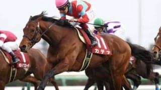 【中山金杯 出走馬決定順】フルゲート17頭にバイオスパーク・カデナなど21頭の登録