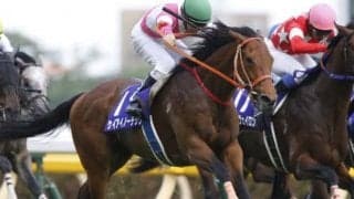 【京都金杯 出走馬決定順】フルゲート16頭にタイセイビジョン・ケイアイノーテックなど22頭の登録