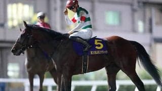 【JRA】クリソベリルが右後肢繋ぎの輪状靭帯を負傷