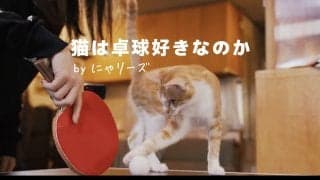 【新動画企画】Rallys × 猫＝にゃリーズ　誕生。