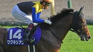 【次走】ワグネリアンは2月の京都記念へ、2018年の日本ダービー馬
