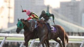 【地方競馬】年明け最初の大井は引き続き事前抽選で入場　指定席483名、一般席750名