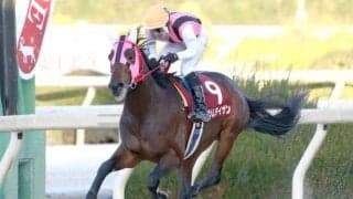 【園田ジュニアC結果】ツムタイザンが重賞2勝目を飾る